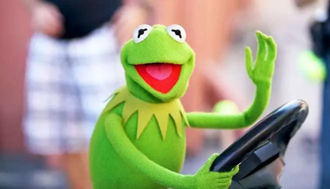 kermit the frog