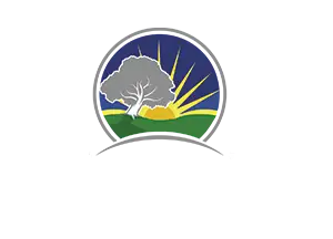 southern sod grass