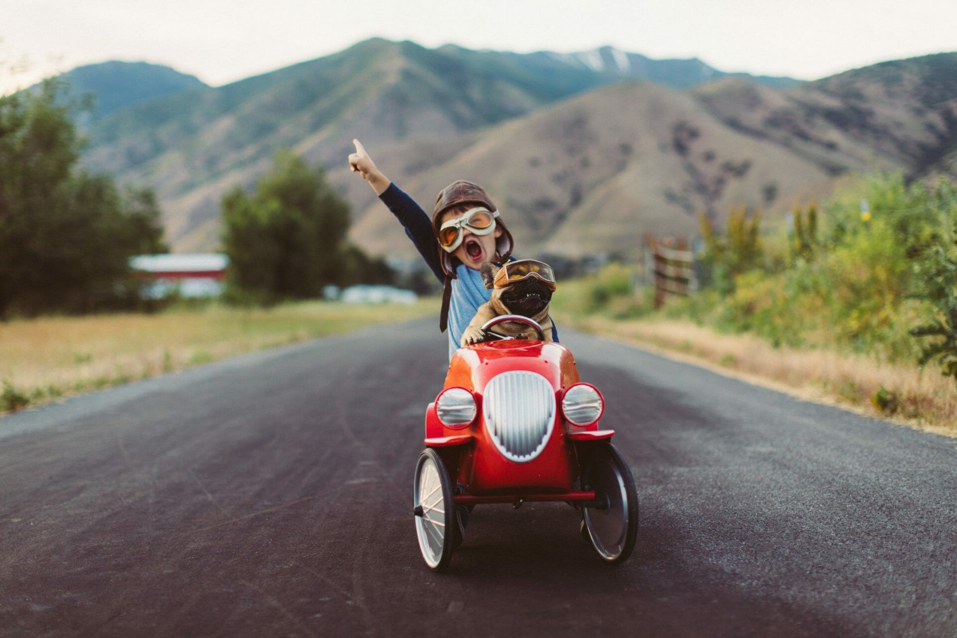 kid in toy car with dog