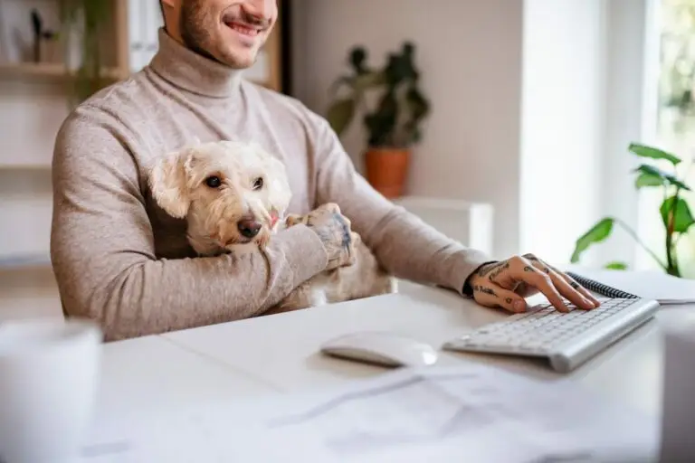 work at home with dog